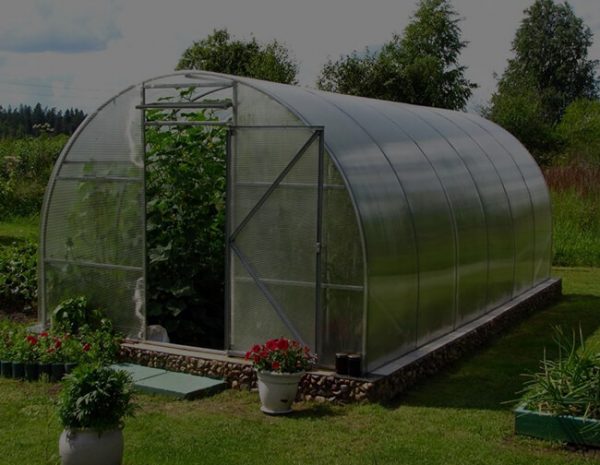 Теплицы из поликарбоната